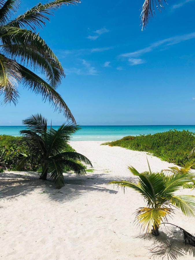 Cabana Tortuga A Unos Pasos De La Playa Apartman El Cuyo Kültér fotó